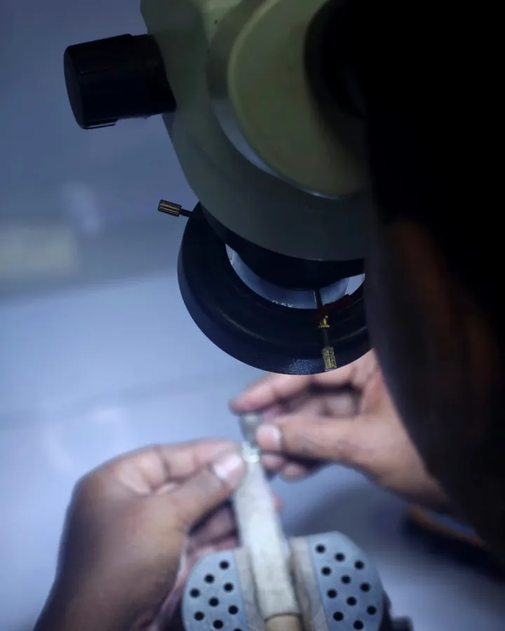 A setter working under a bench microscope